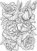 Antistress Roses sketch template