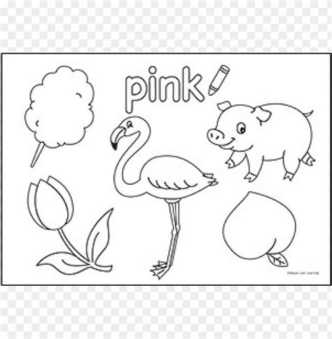 color pink coloring pages png image  transparent background toppng