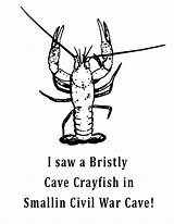 Crayfish Coloring Sheet Cave Smallin Word Search Printable sketch template