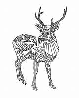 Patterned Deer Coloring sketch template