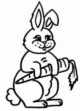 Bunny Coloring Pages Printable Kids sketch template