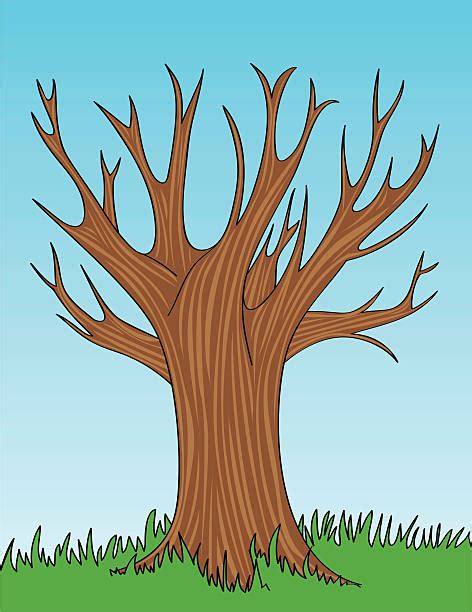 bare tree clip art vector images illustrations istock