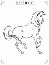 Spirit Corcel Indomable Caballos Caballo sketch template