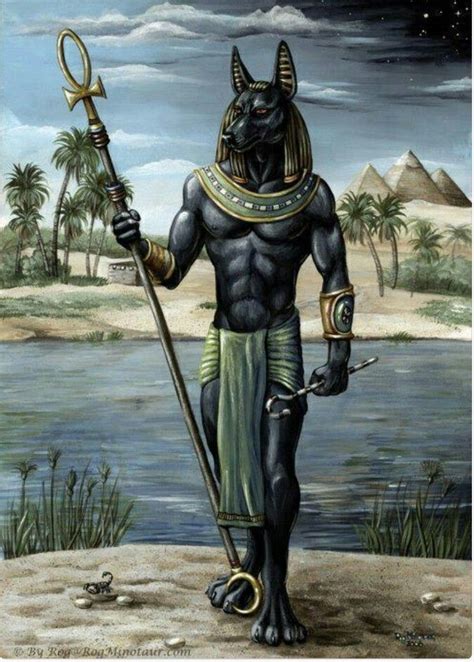 Cool Anubis Egyptian Gods Egyptian Mythology Egyptian Art