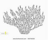 Coral Reef Coloring Pages Zentangle Vector Illustration Drawing Barrier Isolated Ocean Sea Shutterstock Drawings Adult Under Stock Illustrations Fish Hand sketch template