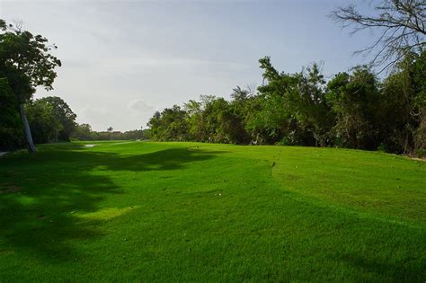 Southern Area Of The Playacar Golf Course Hard Rock Campo De Golf