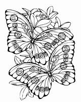 Vlinders Kleurplaten Topkleurplaat Tekeningen Dieren Farfalla Volwassenen Disegni Colorare Mooiste Kleine sketch template