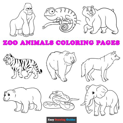 printable zoo animals coloring pages  kids