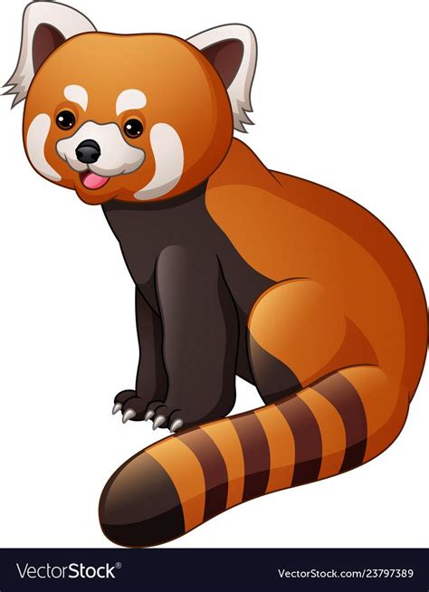 cartoon red panda isolated  white background vector image pandas