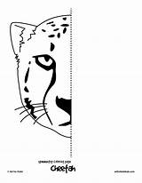 Pages Symmetry Printable Drawing Symmetrical Worksheets Coloring Kids Activity Animal Cat Activities Worksheet Half Finish Mirror Line Hub Arts Easy sketch template