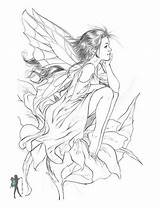 Coloring Pages Fairy Fairies Drawings Para Hadas Adult Adults Mermaid Enchanted Sheets Printable Books Various Designs Colorear Color Realistic Kids sketch template