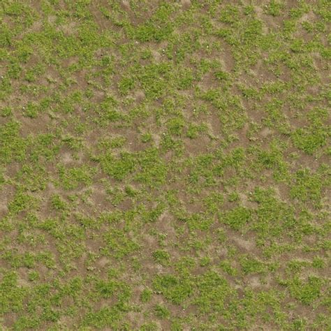 grass  background texture aerial grass short patchy sand ground green brown beige