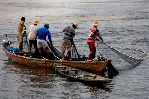 coletivo nos cobra investimentos  pesca na zona rural de sao luis
