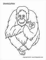 Orangutan Firstpalette Templates Utan Gorilla sketch template