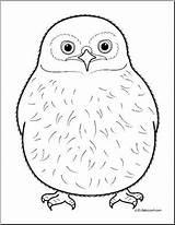 Owlet Designlooter Owl sketch template