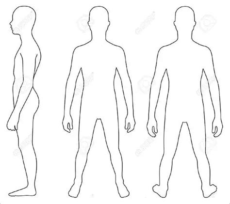 human body outlines word excel samples