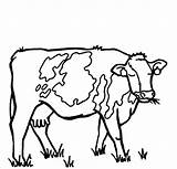 Cow Coloring Netart sketch template