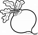 Turnip Coloring Vegetables Disegni Vector Coloringall Frutta sketch template