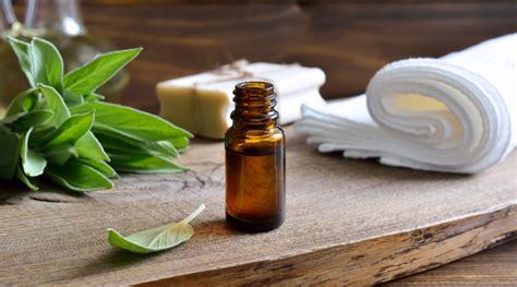 different types of massages and their benefits sage