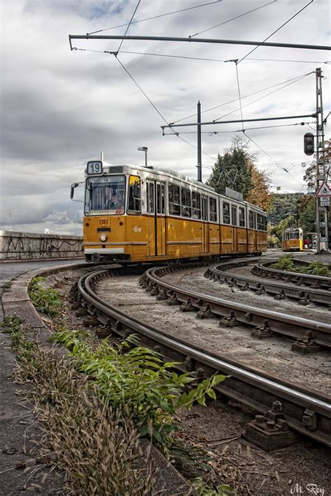 pin  trams