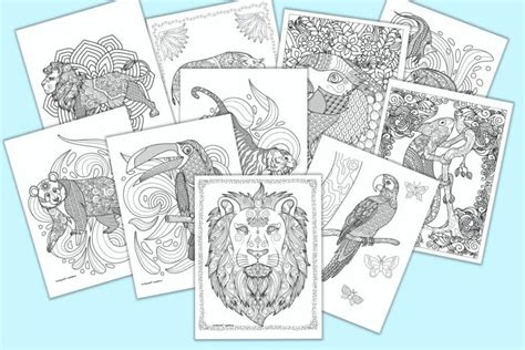 top  animal colouring sheets  print merkantilaklubbenorg