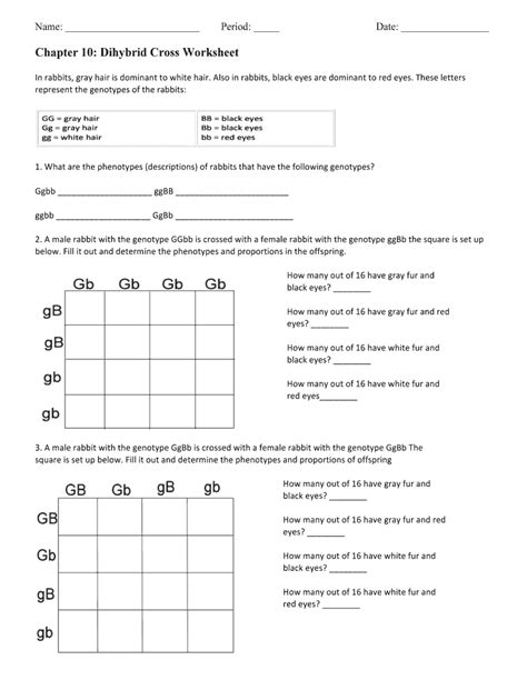 Genotype And Phenotype Worksheet Answers