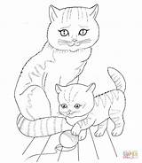 Coloring Pages Kitten Baby Print sketch template