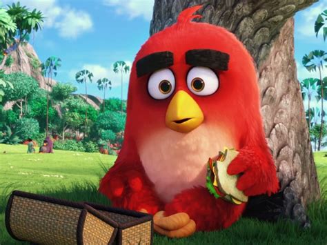 the angry birds trailer is making me angry ndtv