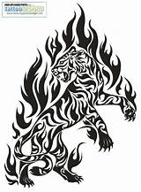 Tribal Tiger Tattoo Tattoos Animal Designs Flame Fire Drawings Coloring Cliparts Pages Animals Visit Favourites Add Tattoosforyou Tribales Meaning Deviantart sketch template