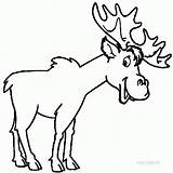 Moose Coloring Elk Elch Malvorlagen Alce Ausdrucken Demonstre Deer Druckbare Kostenlos Atividades sketch template