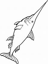 Coloring Swordfish Pages Primarygames Fish Recommended Ocean sketch template