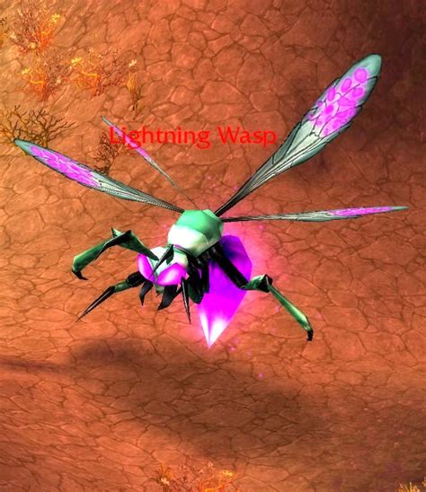 lightning wasp wowpedia  wiki guide   world  warcraft