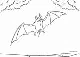 Bat Coloring Pages Vampire Printable Kids sketch template