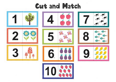 premium vector numbers flash cards  kids cut  match pictures