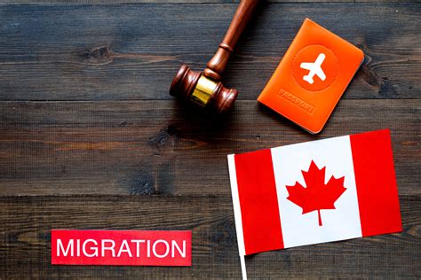 canadian immigration  small november increase    pre