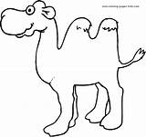 Coloring Pages Camel Camels Animal Printable Color Kids Sheet Sheets Found sketch template
