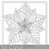 Coloring Pages Christmas Poinsettia Es Colors sketch template
