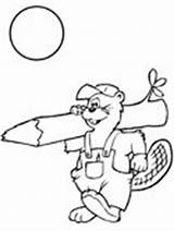 Beaver Coloring Pages Carrying Log Ws sketch template