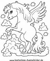 Pferd Pegasus Pferde Ausmalen Ausmalbild Fantasy sketch template