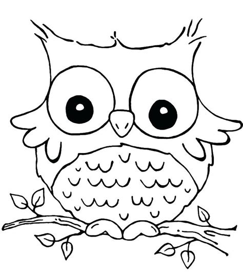 burrowing owl drawing  getdrawings