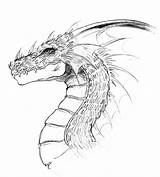Dragon Drawing Head Line Simple Face Realistic Drawings Dragons Chinese Cool Pencil Sketch Easy Coloring Awesome Deviantart Draw Body Getdrawings sketch template