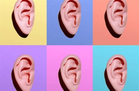 interesting facts  ears  hearing perfect hearing