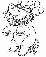 Elephant Coloring Pages Circus Printable Coloringpages1001 Easy Complex Animals Preschool Adult Big sketch template