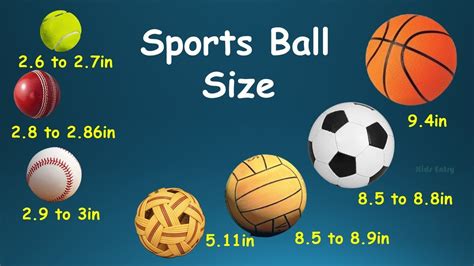 sports ball size sports ball size comparison ball size  inches centimeters millimeters