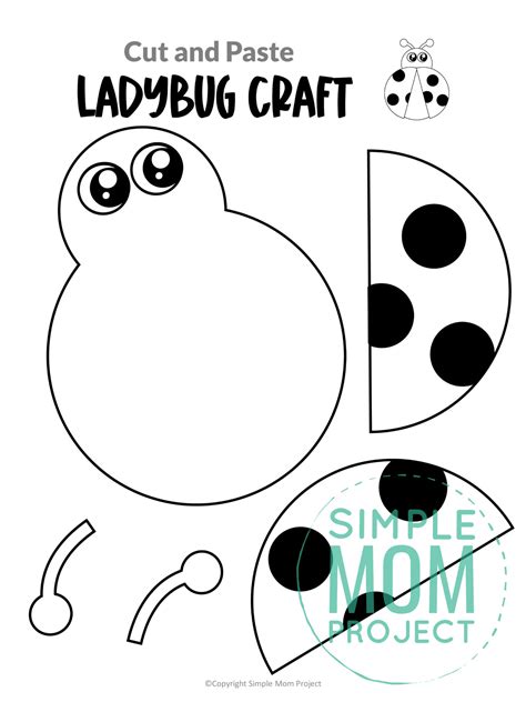 blank ladybug template