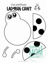 Ladybug Toddlers Preschoolers Simplemomproject sketch template
