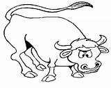 Bull Coloring Pages Sheet Printable Kids sketch template