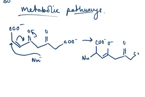 solvedpivalic mixed anhydrides     form amide bonds  amino acids