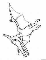 Pteranodon Dinosaur sketch template