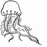Jellyfish Coloring Pages Animals Color Printable Sheet Animal sketch template